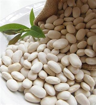لوبیا سفید اعلاء
